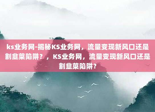 ks业务网-揭秘KS业务网，流量变现新风口还是割韭菜陷阱？，KS业务网，流量变现新风口还是割韭菜陷阱？