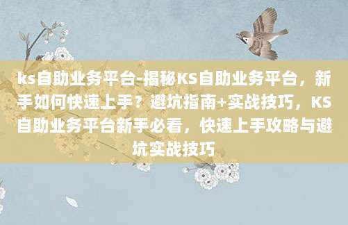 ks自助业务平台-揭秘KS自助业务平台，新手如何快速上手？避坑指南+实战技巧，KS自助业务平台新手必看，快速上手攻略与避坑实战技巧