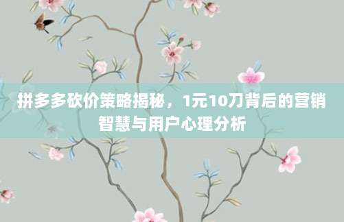 拼多多砍价策略揭秘，1元10刀背后的营销智慧与用户心理分析
