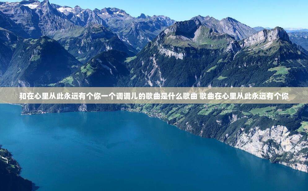 和在心里从此永远有个你一个调调儿的歌曲是什么歌曲 歌曲在心里从此永远有个你