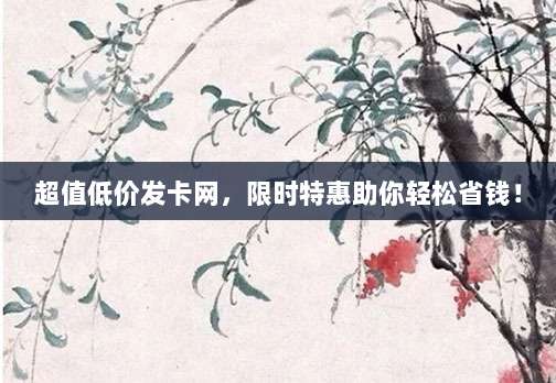 超值低价发卡网，限时特惠助你轻松省钱！
