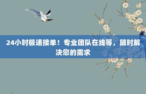 24小时极速接单！专业团队在线等，随时解决您的需求
