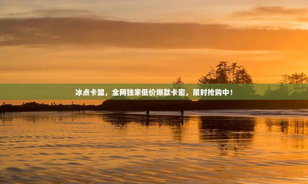 冰点卡盟，全网独家低价爆款卡密，限时抢购中！