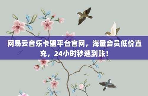 网易云音乐卡盟平台官网，海量会员低价直充，24小时秒速到账！