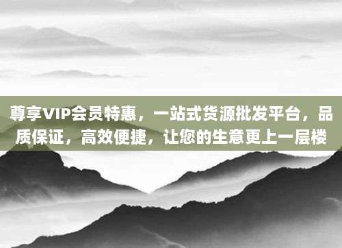 尊享VIP会员特惠，一站式货源批发平台，品质保证，高效便捷，让您的生意更上一层楼