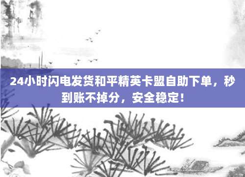 24小时闪电发货和平精英卡盟自助下单，秒到账不掉分，安全稳定！
