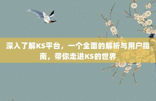 深入了解KS平台，一个全面的解析与用户指南，带你走进KS的世界