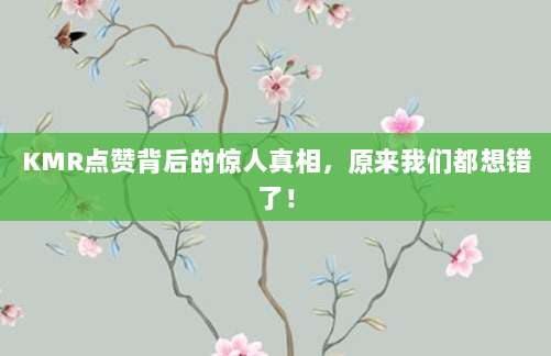 KMR点赞背后的惊人真相，原来我们都想错了！