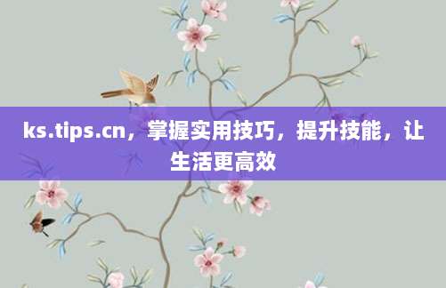 ks.tips.cn，掌握实用技巧，提升技能，让生活更高效