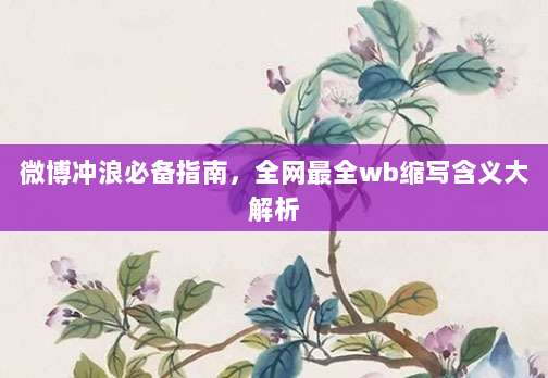 微博冲浪必备指南，全网最全wb缩写含义大解析