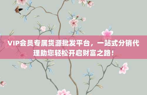 VIP会员专属货源批发平台，一站式分销代理助您轻松开启财富之路！