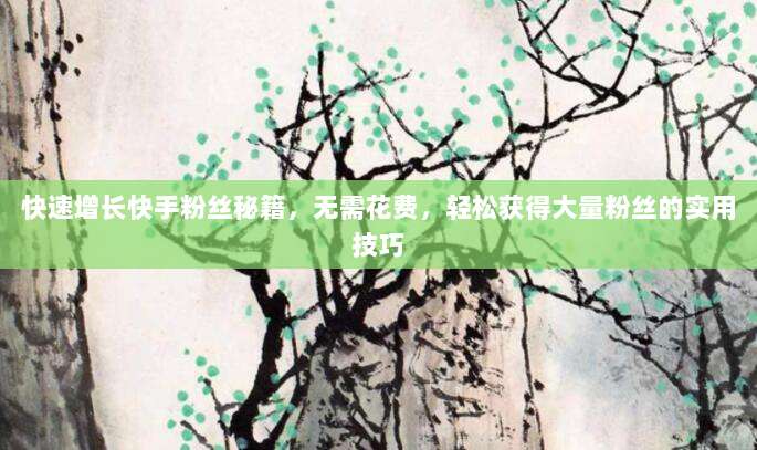 快速增长快手粉丝秘籍，无需花费，轻松获得大量粉丝的实用技巧