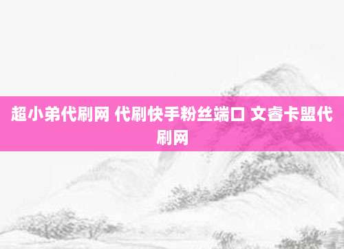 超小弟代刷网 代刷快手粉丝端口 文睿卡盟代刷网