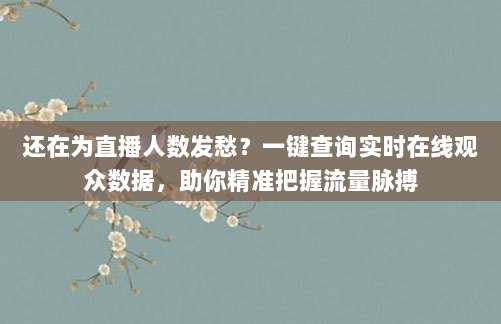 还在为直播人数发愁？一键查询实时在线观众数据，助你精准把握流量脉搏