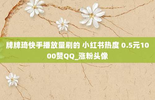 牌牌琦快手播放量刷的 小红书热度 0.5元1000赞QQ_涨粉头像