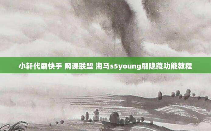 小轩代刷快手 网课联盟 海马s5young刷隐藏功能教程