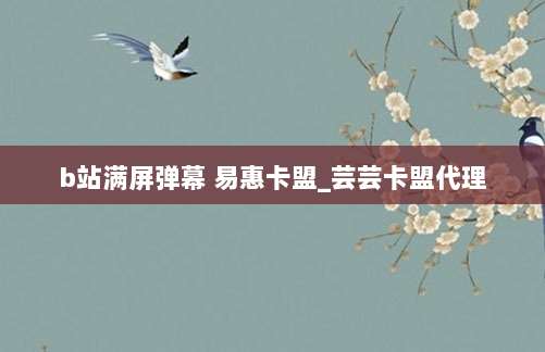 b站满屏弹幕 易惠卡盟_芸芸卡盟代理